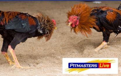 sabong, cockfighting derby|Labor group cites social costs of e.